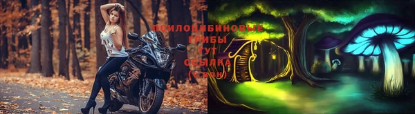 mdpv Валдай
