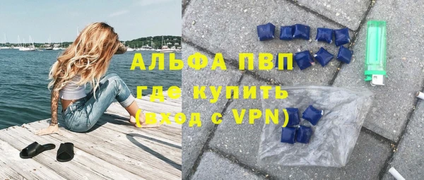 индика Ветлуга