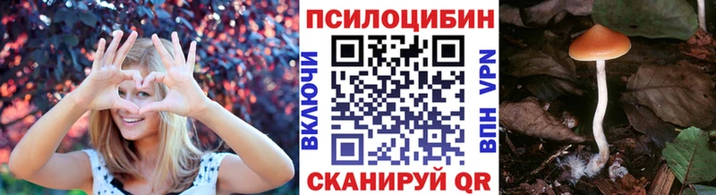 Псилоцибиновые грибы ЛСД Волосово